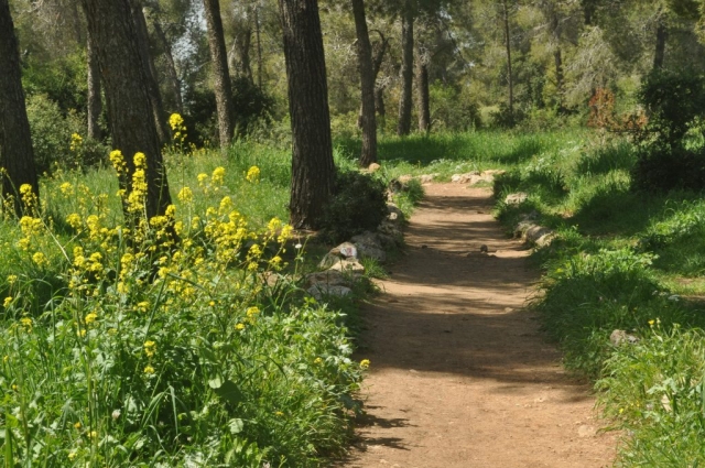 עגכעגעגכ