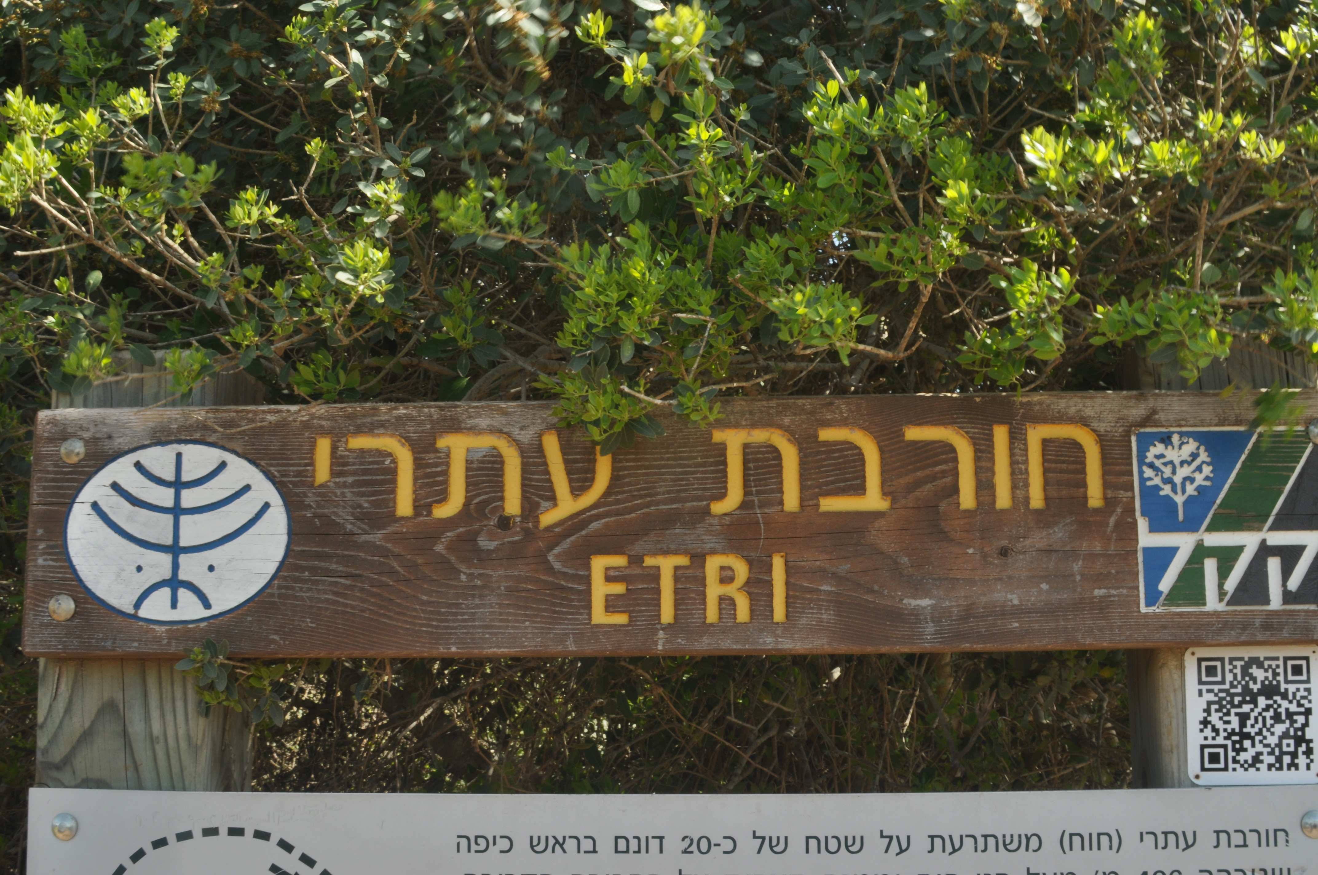 הרחנו, מוללנו, ליקטנו – ועכשיו נאכל. טיול טבע בדגש צמחי תועלת