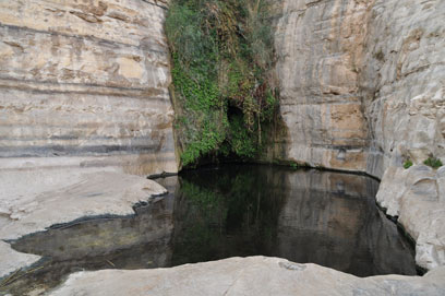 קמפוס נגב בן יומיים  29-30.1.2019