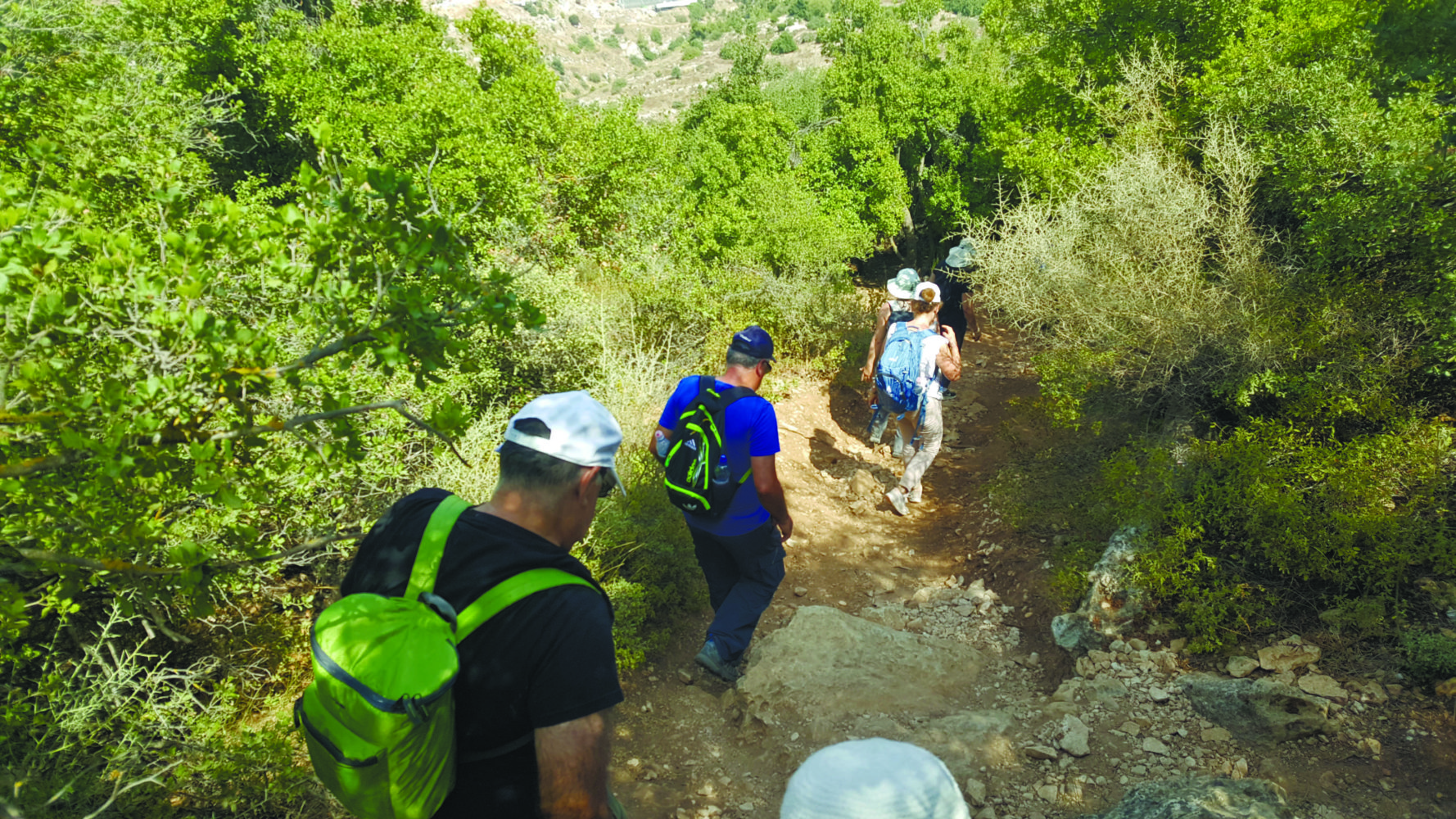 קמפוס גליל עליון
