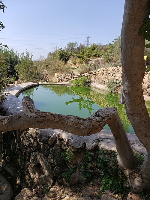 "נפגשים בשביל ישראל" – מאורה לבר גיורא