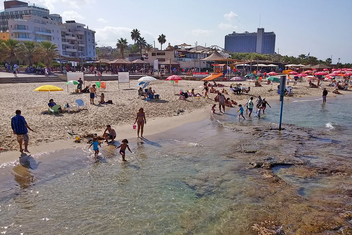 23.11.23  |  יום חמישי  |בין קפלן לארלוזורוב  | הדרכה : אלישע