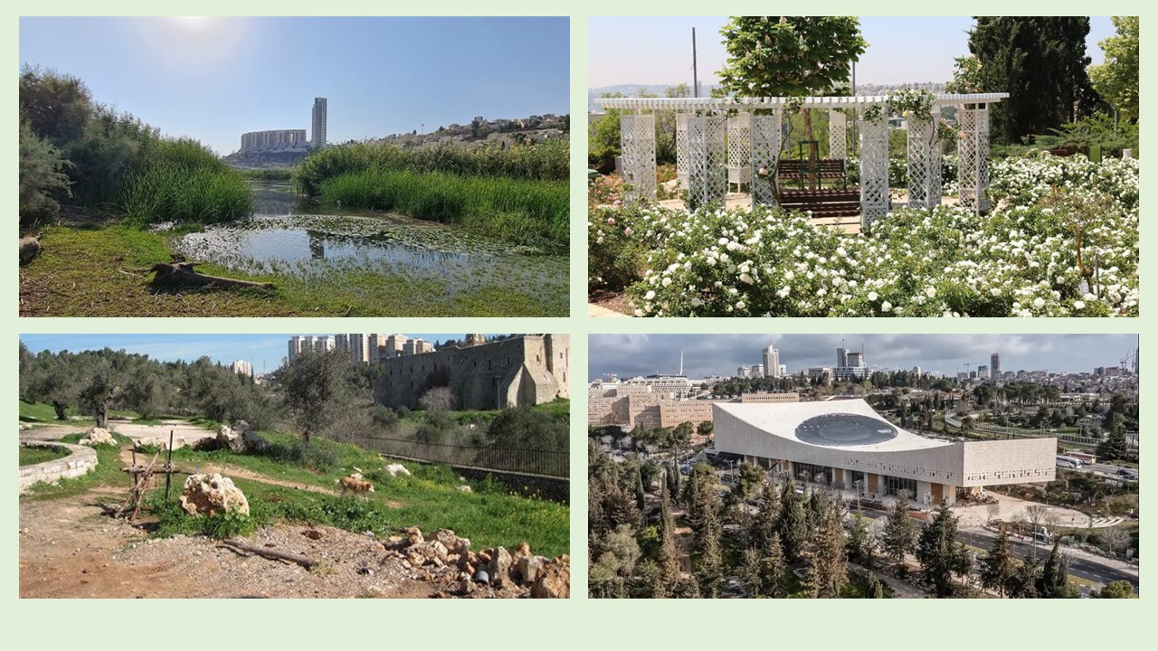 14.4.24 | יום ראשון|  ירושלים טבע עירוני  | הדרכה : אלישע
